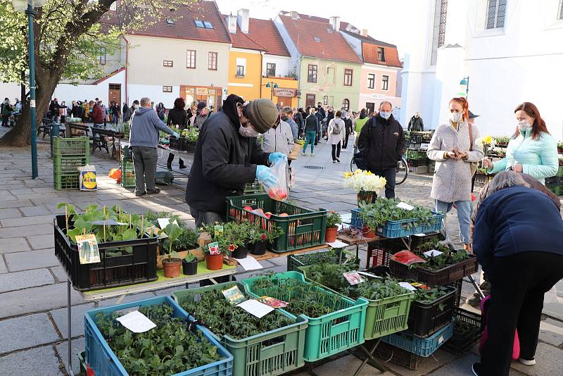 První farmářský trh na Piaristickém náměstí.