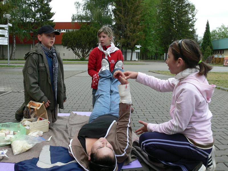 V úterý na českobudějovickém výstavišti pořádal Český červený kříž oblastní kolo soutěže Hlídek mladých zdravotníků.