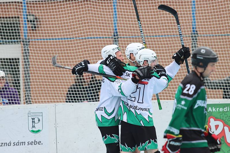 Hokejbalisté Pedagog České Budějovice vyřadili ve čtvrtfinále play off první ligy Bulldogs Brno.