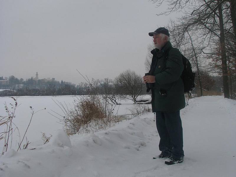 PŘILETÍ? Jaroslav Závora vyhlíží na hrázi Munického rybník u Hluboké nad Vltavou orly. Ačkoli se nakonec žádného nedočkal, potěšil se alespoň krásou okolní přírody. Neodradil jej mráz ani vytrvalé sněžení. 