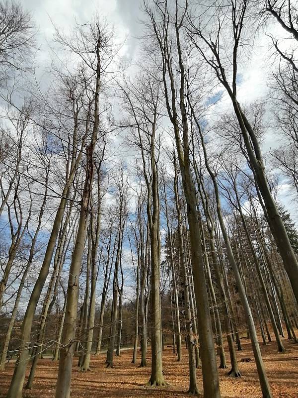 Obří kraslice v Hluboké nad Vltavou