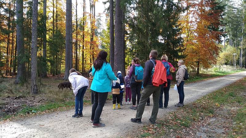 V Trocnově se v rámci Dne archeologie konaly prohlídky zkoumaných trocnovských dvorců. Pro děti byl přichystán edukační a zábavný program.