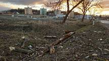 Vítr v neděli dopoledne 30. ledna 2022 na jihu Čech komplikoval například dopravu. Mezi Municemi a Hlubokou nad Vltavou vyvrátil na silnici strom, který odklidili hasiči.