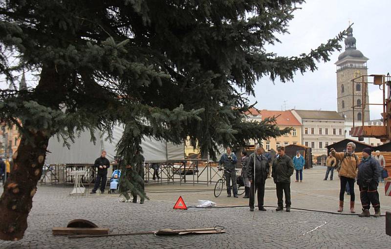 Do Českých Budějovic přivezli v pondělí vánoční strom.