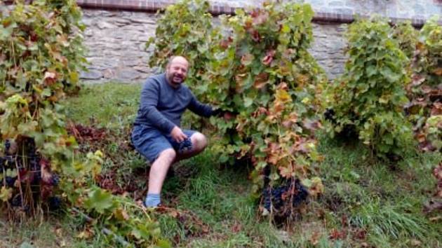 Lubor Dušek v Hluboké nad Vltavou pečuje o vinici.