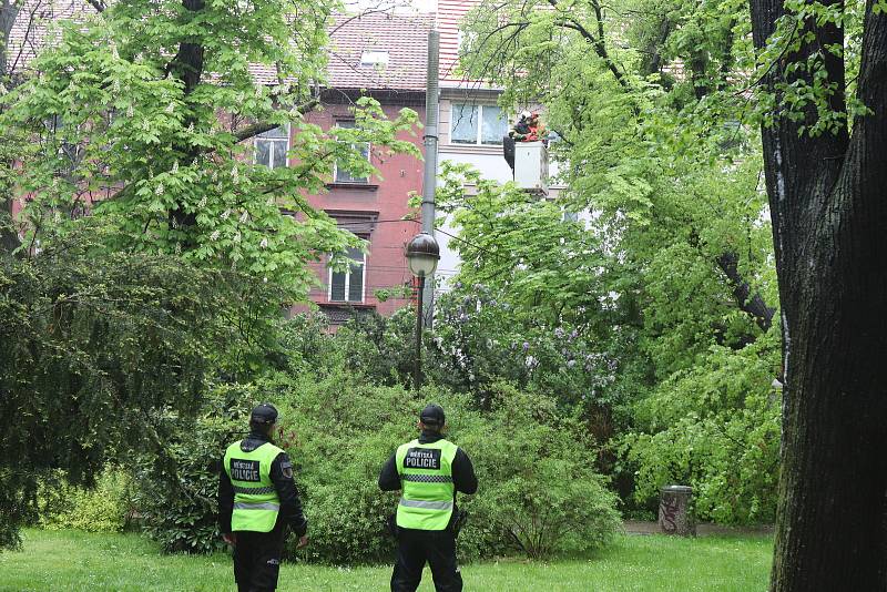 Strom spadl v ulici Na sadech v Českých Budějovicích do troleje. Doprava v krajském městě kolabuje.