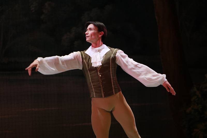 Šípkovou Růženku na hudbu P. I. Čajkovského v Metropolu uvedl St. Petersburg Festival Ballet.