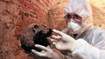 Vědci z Akademie věd ČR včera sbírali vzorky v hrobkách pod katedrálou v Českých Budějovicích. Její rekonstrukce potrvá až do roku 2013.
