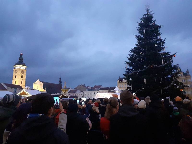 Slavnostní rozsvícení vánočního stromu na náměstí Přemysla Otakara II. v Českých Budějovicích.