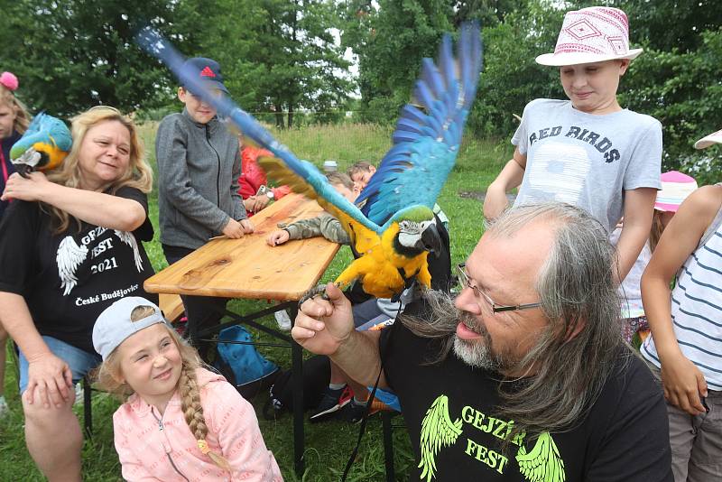 Příměstský tábor VSKH Pohodáři na malé farmě u Pilmanova rybníka v Českých Budějovicích.