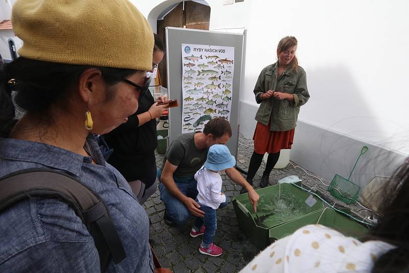 Rybí slavnosti v českobudějovické Panské ulici.