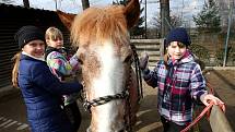 Mezi zvířaty trávily děti jarní prázdniny na příměstském táboře hlubocké zoo.