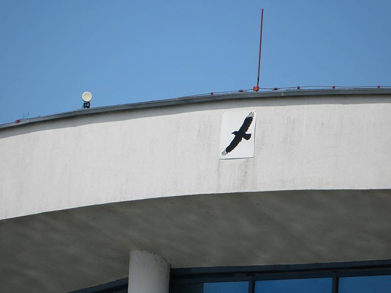 Plavecký stadion České Budějovice