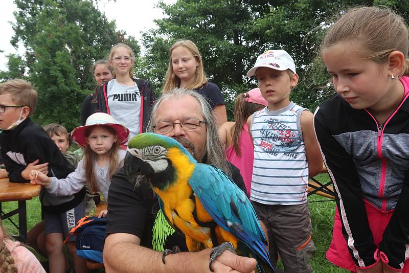 Příměstský tábor VSKH Pohodáři na malé farmě u Pilmanova rybníka v Českých Budějovicích.