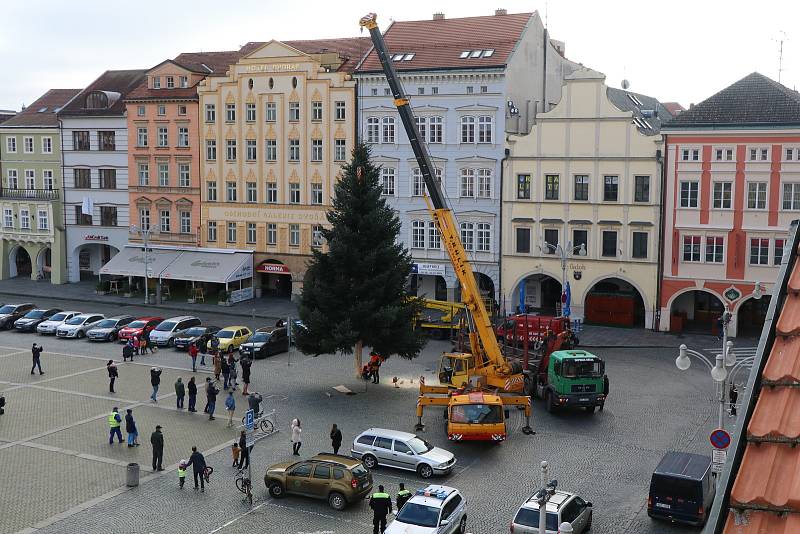 Vánoční strom pro České Budějovice.