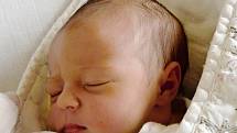 Natálie Borůvková z Tábora. Poprvé na svět pohlédla 17. srpna ve 23.45 hodin. Po narození vážila 3420 gramů, měřila 51 cm je prvním dítětem rodičů Petry a Miroslava.