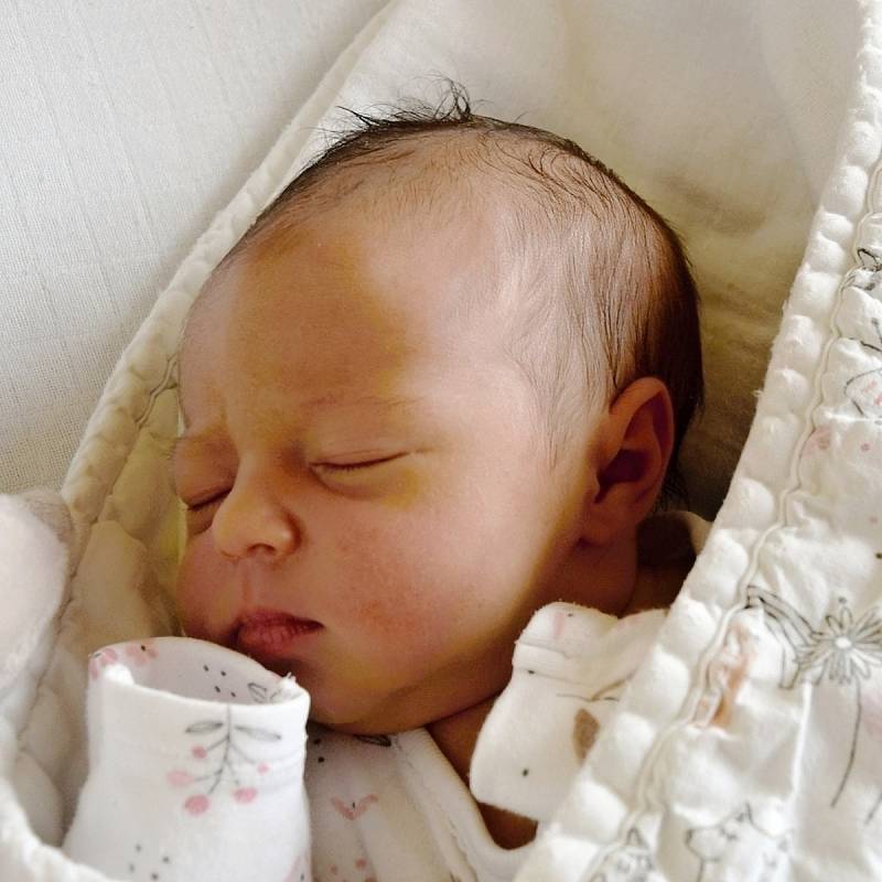 Natálie Borůvková z Tábora. Poprvé na svět pohlédla 17. srpna ve 23.45 hodin. Po narození vážila 3420 gramů, měřila 51 cm je prvním dítětem rodičů Petry a Miroslava.