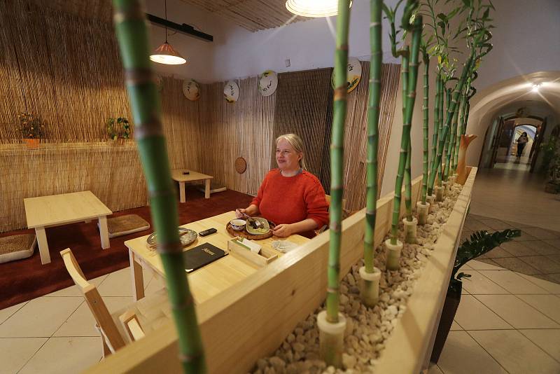 Nová vietnamská restaurace Bambus na českobudějovickém náměstí místo známého bufetu.