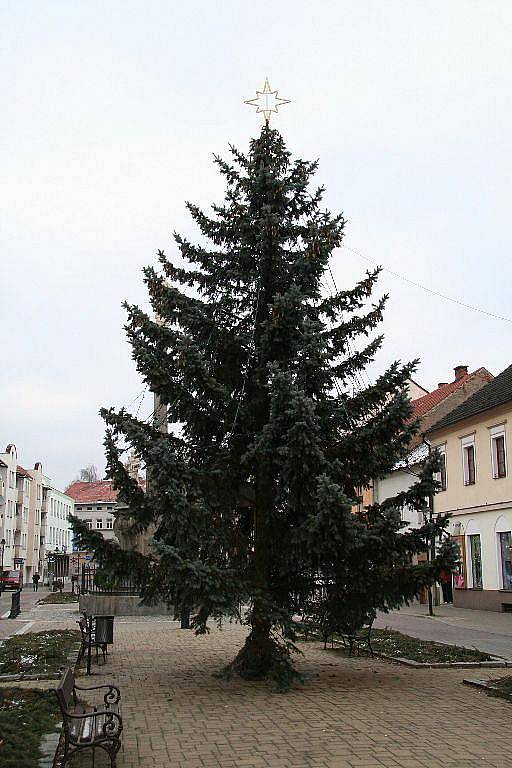 Strakonice, Palackého náměstí, asi 8 metrů vysoký, žárovky a zelené diodové řetezy.