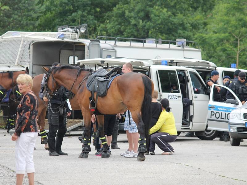 Jízdní policie se stala na Máji atrakcí.