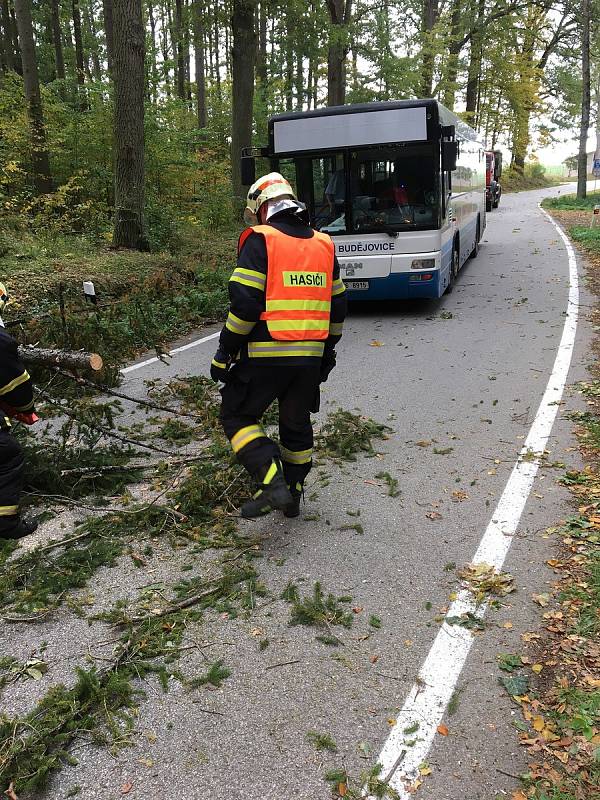 U Kostelce směrem na Poněšice likvidovali dobrovolní hasiči z Hluboké nad Vltavou padlý strom.