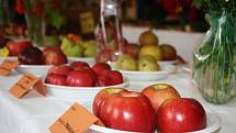 Výstava ovoce a zeleniny se koná do neděle v sále Hospody U Kostela ve Svatém Janu nad Malší.