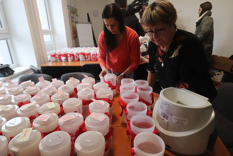 Pracovníci českobudějovické Charity a Městského úřadu sčítají výsledky Tříkrálové sbírky v Českých Budějovicích.