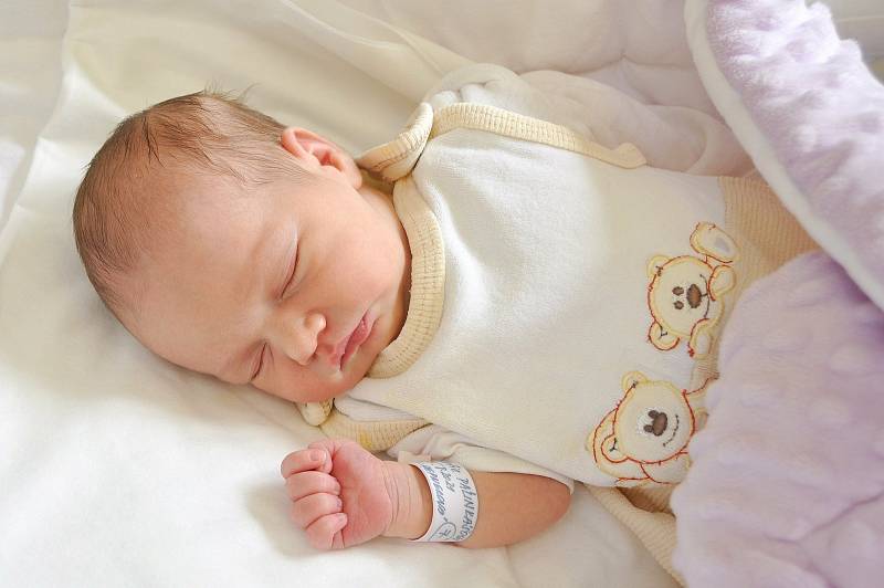 Sofie Palinkášová ze Sušice. Prvorozená dcera rodičů Anety a Zdeňka se narodila 5. 8. 2021 v 8.09 hodin. Při narození vážila 2890 g a měřila 47 cm.