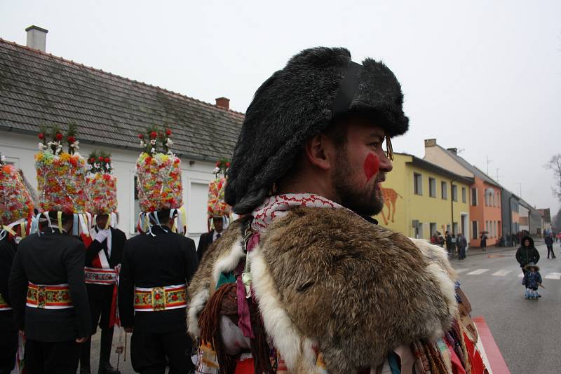 Na tradiční růžičkovou koledu se v sobotu vydali mladí muži v Ločenicích. Masopust zde má dlouhou tradici.