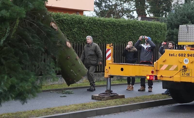 Vánoční strom pro České Budějovice ze Zavadilky,část 1