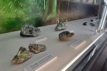 Výstava Kameny pro krásu i dekoraci a stálá expozice minerálů v Jihočeském muzeu v Českých Budějovicích.