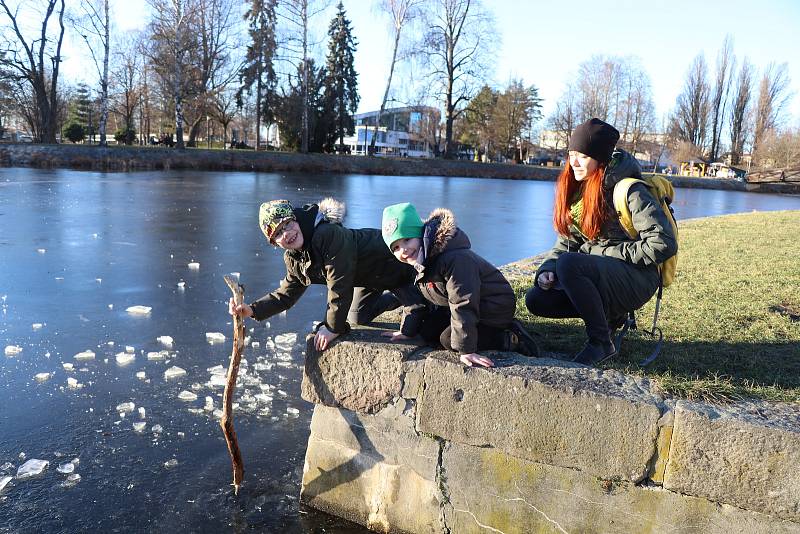 V Českých Budějovicích se teplota v pátek 14. ledna dostala nad 12 °C. Sluníčko vylákalo do ulic spoustu lidí.