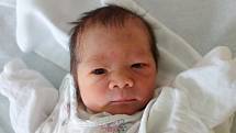 Do Prahy si svého prvorozeného potomka, Sophii Le Bigre, odvezou rodiče. Holčička přišla na svět v budějovické porodnici v úterý 4. 4. 2017 v 8.07, vážila 2,58 kg.