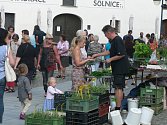 Tradiční trh na Piaristickém náměstí v Českých Budějovicích.