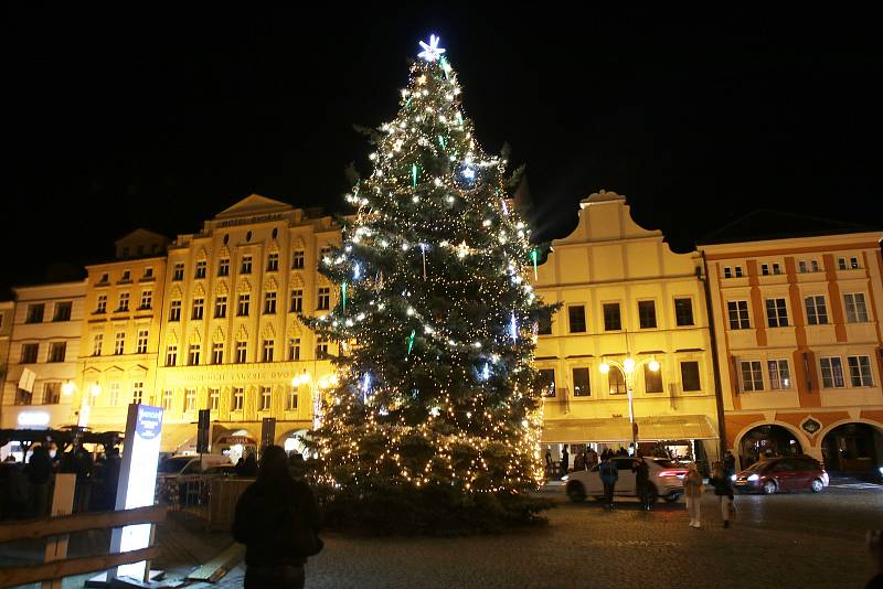 Vánoční strom v Budějovicích už svítí, v neděli ho přizdobil sníh