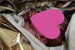 Ivanka. Novorozené děvčátko si v noci na středu užilo pozornost záchranářů, nyní si hoví v péči nemocničního personálu.