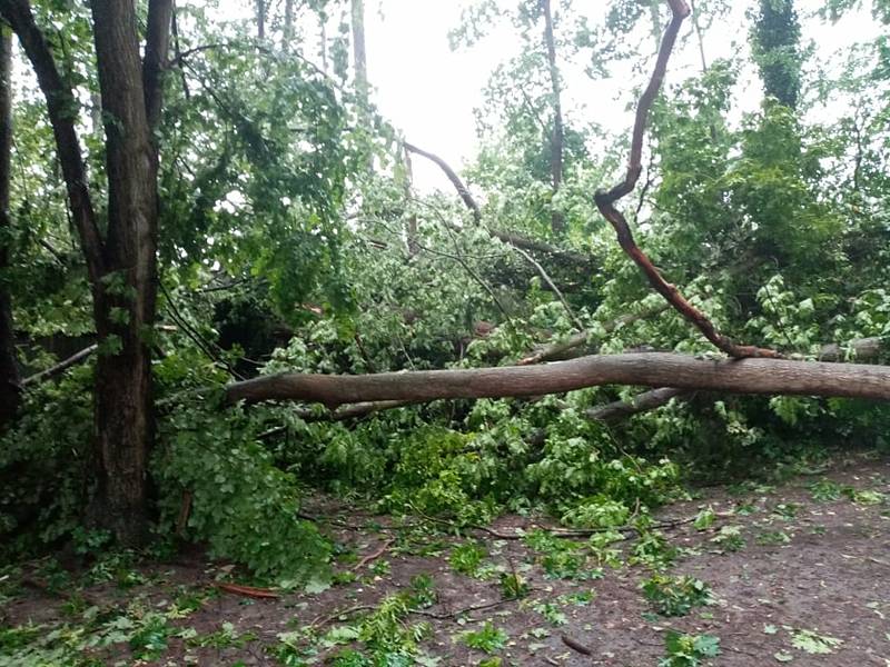 Na psí kotce a na garáž spadly Ivanovi Horáčkovi z Chlumu u Třeboně při sobotním dešti a větru čtyři stromy.