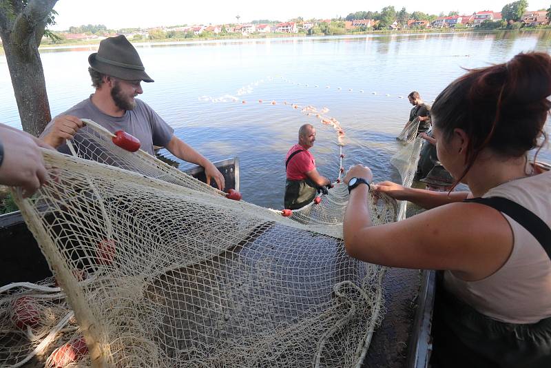 Letní odlov rybníka v Šindlových dvorech. Rybáři z českobudějovického střediska odlovili téměř tři metráky kaprů.