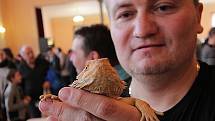 První letošní terarijní výstava a burza se uskutečnila v neděli v Budějovicích. Přilákala stovky lidí. Velkou pozornost budili hadi, agamy, chameleoni a další zvířata.