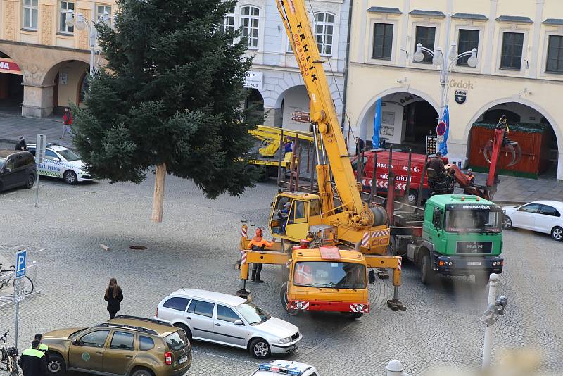 Vánoční strom pro České Budějovice.