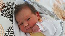 Tereza Staňková z Písku. Dcera Romany Železné a Milana Staňka se narodila 9. 11. 2021 v 8.23 hodin. Při narození vážila 2950 g a měřila 47 cm.