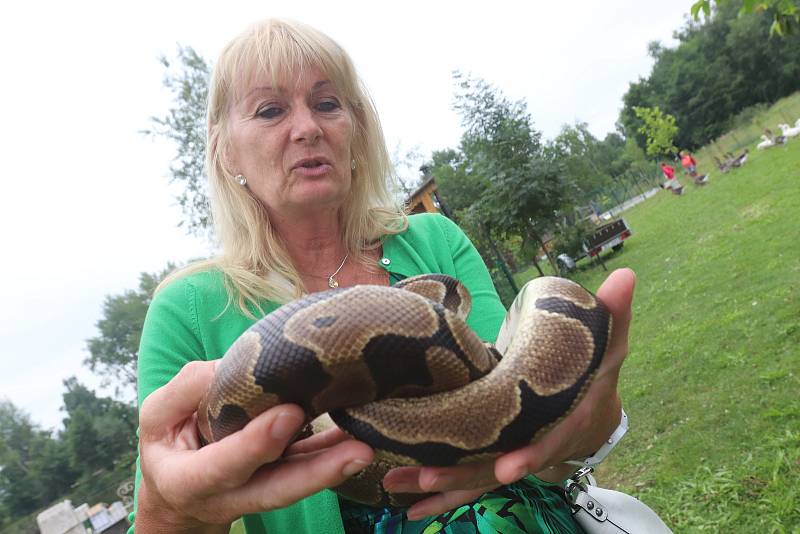 Příměstský tábor VSKH Pohodáři na malé farmě u Pilmanova rybníka v Českých Budějovicích.