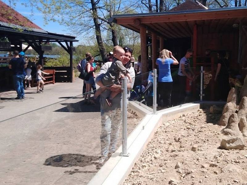 Letní počasí vylákalo do ZOO Hluboká nad Vltavou davy lidí.