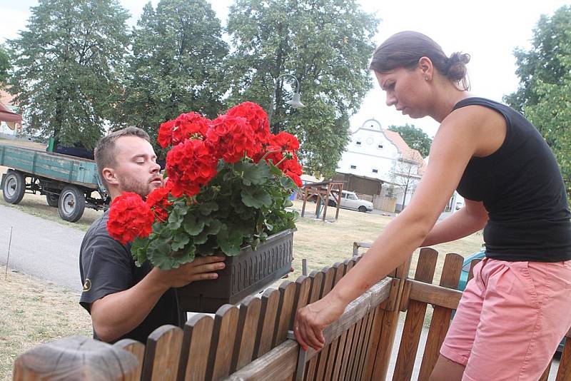 Ve čtvrtek vrcholily přípravy na Selské slavnosti v Holašovicích.