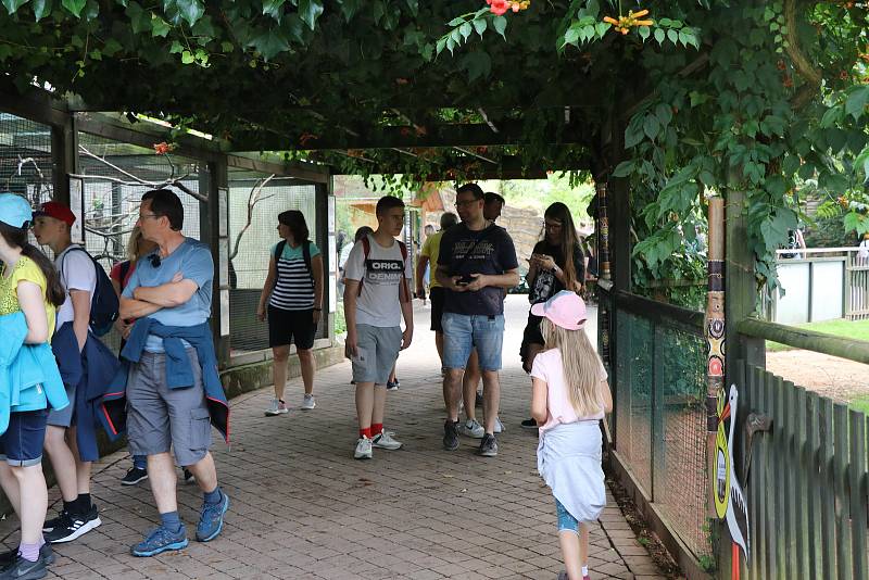 O svátečních dnech bylo v zoo Hluboká pěkně rušno.