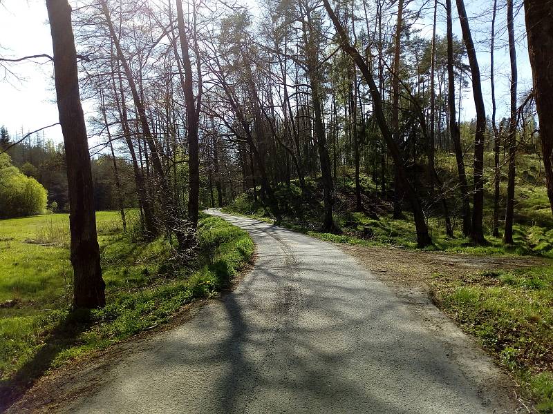 Květnová procházka Mojským lesem a lesy kolem Borku.