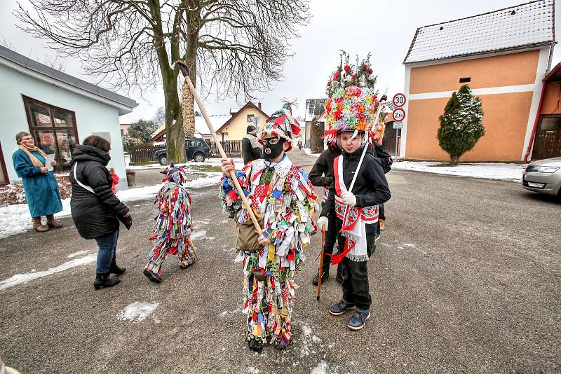 V Ločenicích na Českobudějovicku chodí o masopustu hned dvě party koledníků. Kromě klasické "velké" koledy, chodí od domu k domu "malá" koleda mladších kluků.