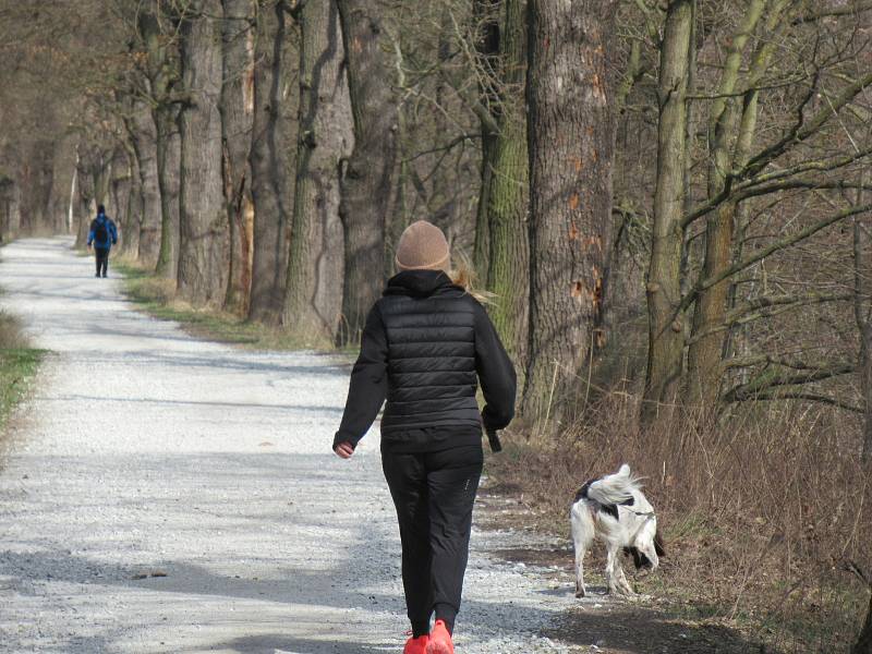 Přírodní rezervace leží na severozápadním okraji Českých Budějovic a má rozlohu 245,8 ha. Zahrnuje čtyři rybníky, mokřady a louky. Vyznačuje se bohatou a unikátní faunou i flórou.