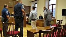 U Krajského soudu v Českých Budějovicích se chýlí ke konci obnovený proces s drogovými dealery Rudolfem Chalašem a Dominikem Luderou z Vimperka na Prachaticku.