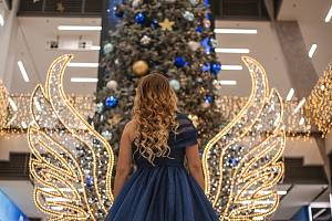 Strom splněných přání chce přinést vánoční dárky dětem ze všech dětských domovů celého Jihočeského kraje.